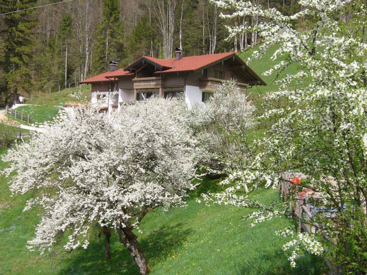 Haus Eicher Schneizlreuth Bagian luar foto
